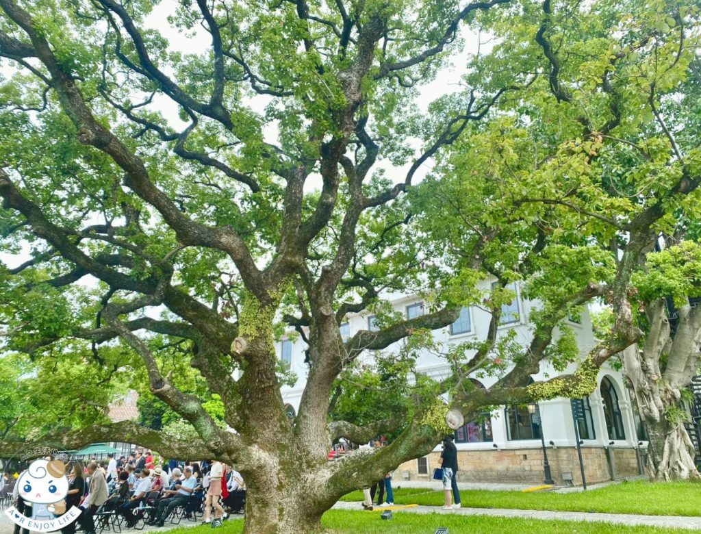 巫登益美術館
巫登益當代藝術園區
淡水景點