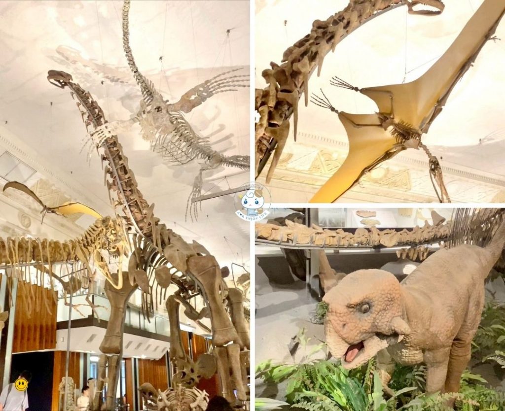 台北小旅行神推薦｜恐龍展只要30元超值爆表｜還能兩館一票暢遊(國立臺灣博物館本館＋古生物館)